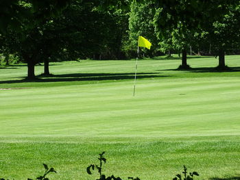 View of golf course