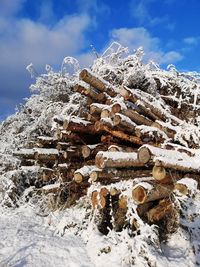 Stack of logs on snow covered field against sky