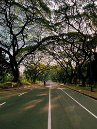 Rear view of man on road