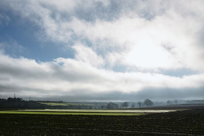 Scenic view of field against sky