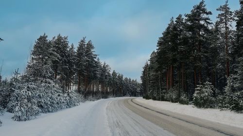 Road amidst trees against sky