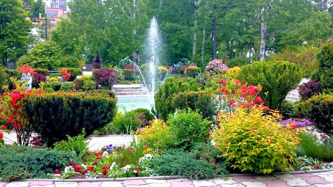 WATER FOUNTAIN IN PARK