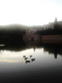 Ducks on lake against clear sky