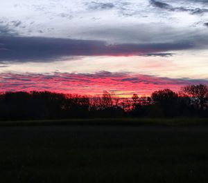 Silhouette trees on field against sky during sunset