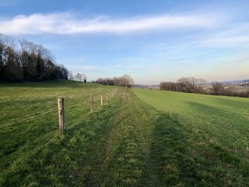 Scenic view of field against sky