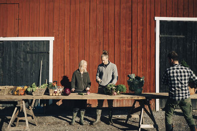 Male and female farmers arranging organic vegetables on table outside barn