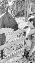 Side view of woman with horse standing by tree
