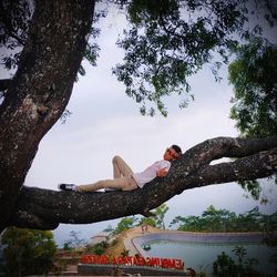 Low angle view of people on tree trunk against sky