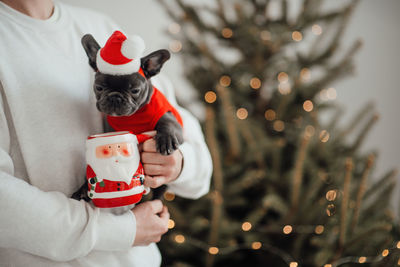 Cropped hand of woman holding christmas tree