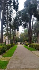 Walkway leading to park