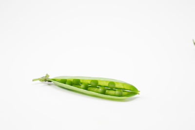 Close-up of green pepper against white background