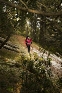 Front view of man walking on forest path