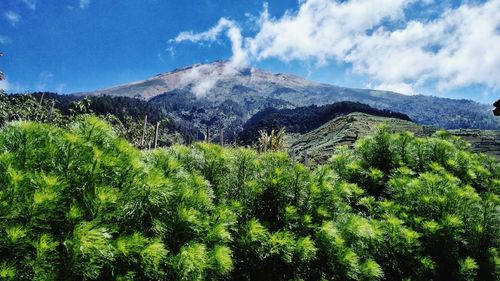 Panoramic view of landscape against sky