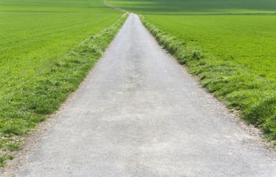 Close-up of green grass