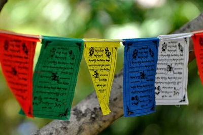 Colorful prayer flags hanging against branch