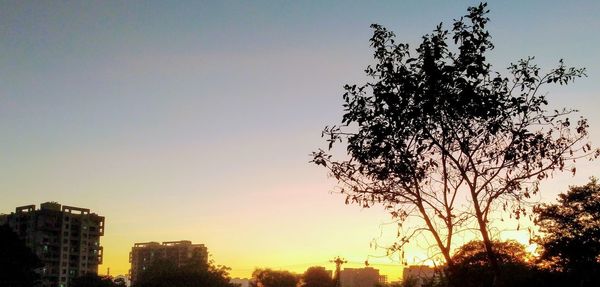 Silhouette trees and buildings against sky during sunset