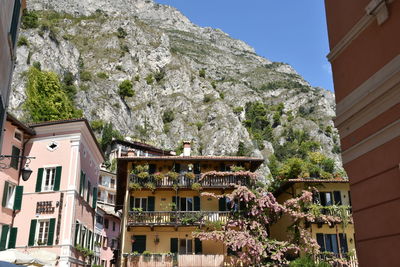 Low angle view of trees and mountain against sky