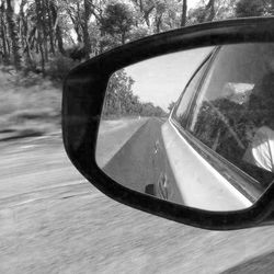 Reflection of trees in side-view mirror