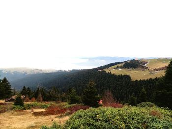 Scenic view of landscape against clear sky