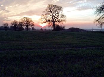 Scenic view of grassy field against sky at sunset
