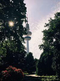 Low angle view of trees