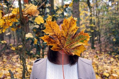 Low angle view of maple leaves on tree during autumn