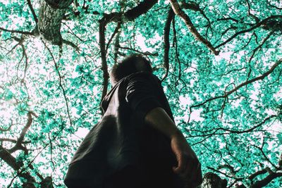 Low angle view of trees