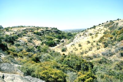 Scenic view of landscape against clear sky
