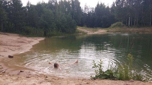 View of ducks swimming in lake