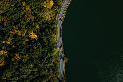 High angle view of road amidst trees