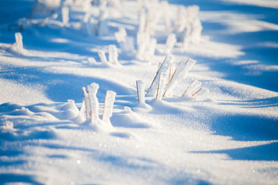 Close-up of snow covered land on field