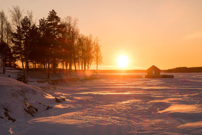 Scenic view of frozen trees against sky during sunset