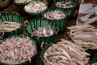 High angle view of fish for sale at market