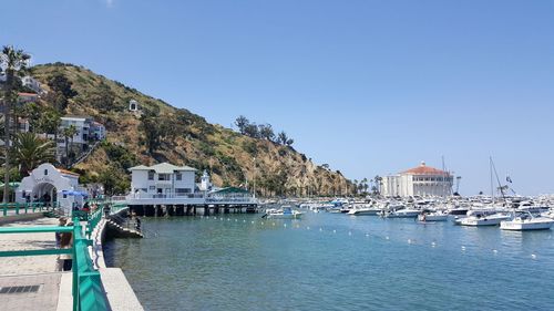 Sailboats moored on sea by buildings against clear blue sky