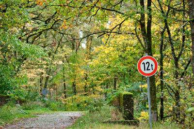 Road sign by trees in forest