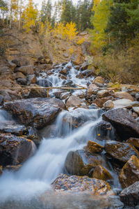 Scenic view of waterfall in forest