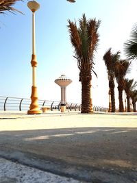 Street light and palm trees against clear sky