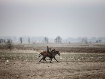 Men riding horse on field against clear sky