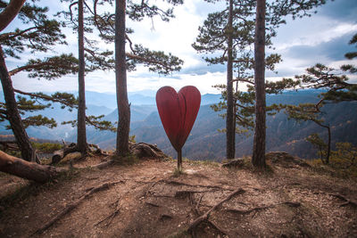 Heart shape on field by mountain against sky