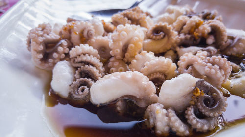 Close-up of octopus in plate