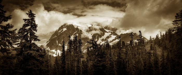 Panoramic shot of trees on land against sky