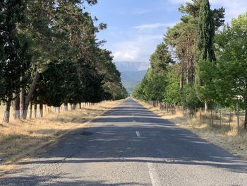 Empty road along trees