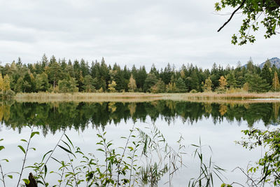 Scenic view of lake by trees against sky