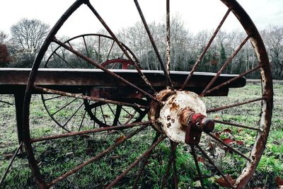 Rusty wheel on field