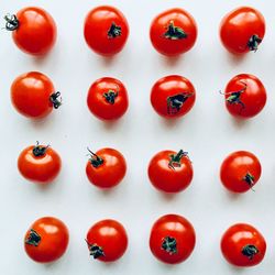 Directly above shot of fruits