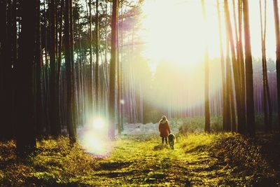 Rear view of woman walking with dog in forest