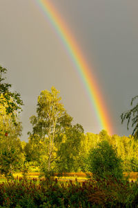 Scenic view of rainbow against sky