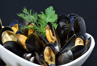 The best of mussels menu