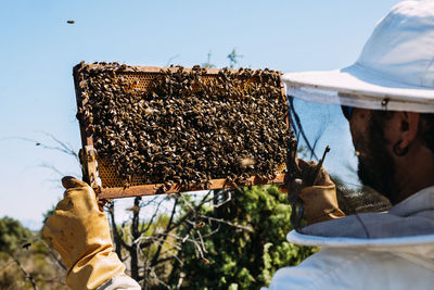 Close-up of bee on man against sky