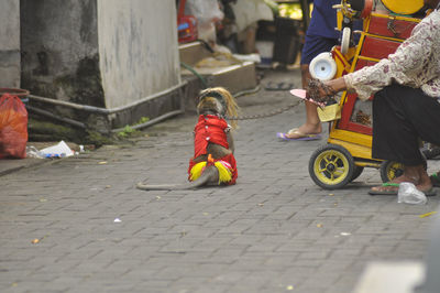 Low section of people in toy car on street